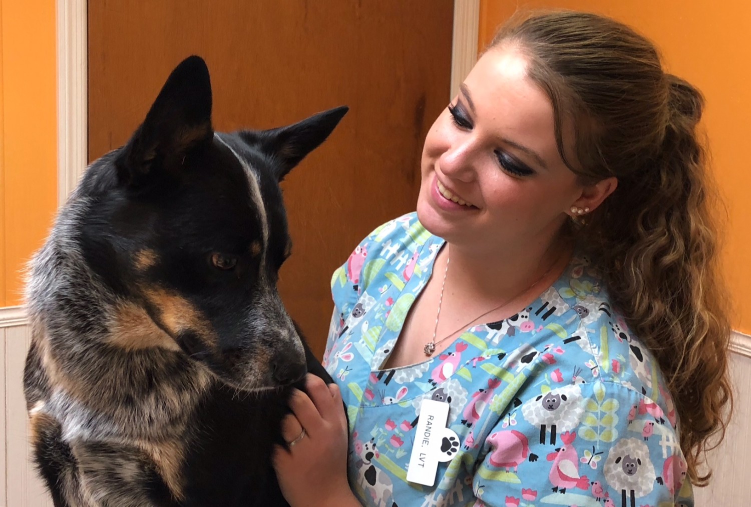 Blue Ridge Animal Clinic Veterinarians In Lexington, VA Home